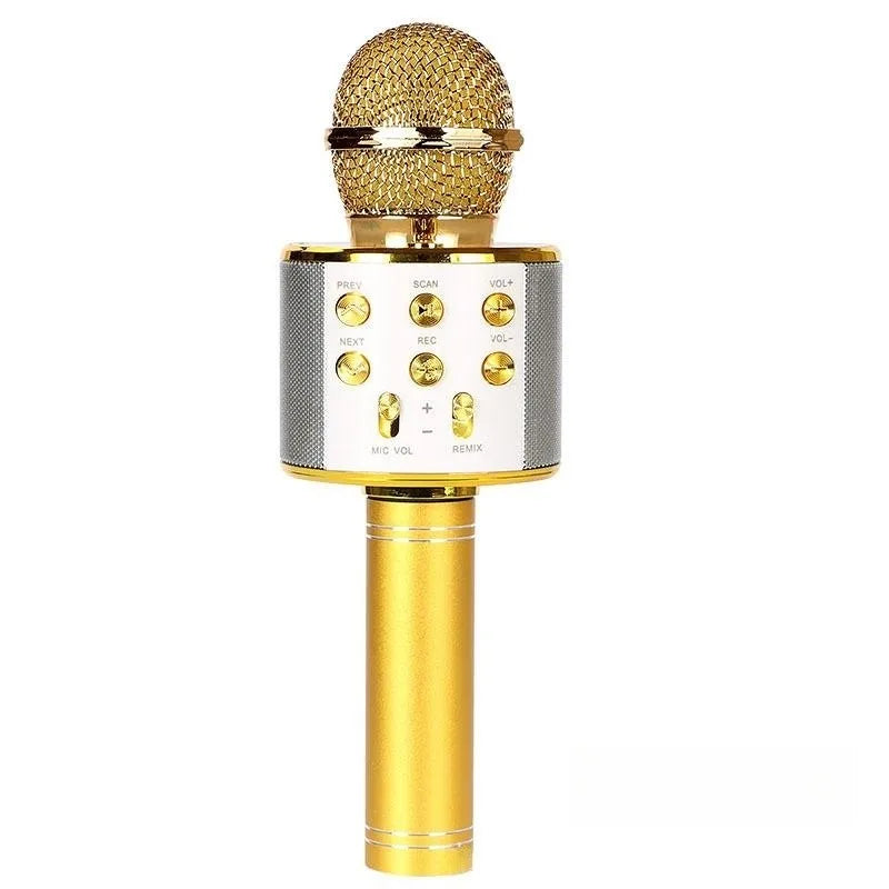 Microfon karaoke Bluetooth wireless pentru copii, microfon karaoke portabil 5 în 1, difuzor player, înregistrator cu radio FM