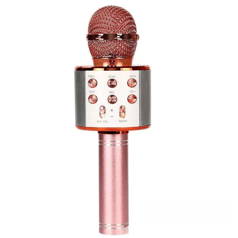 Microfon karaoke Bluetooth wireless pentru copii, microfon karaoke portabil 5 în 1, difuzor player, înregistrator cu radio FM